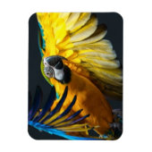 Farbenfrohe Flugbahn auf dunklem Hintergrund Magnet (Vertikal)