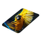 Farbenfrohe Flugbahn auf dunklem Hintergrund Magnet (Linke Seite)