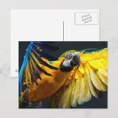 Farbenfrohe Flugbahn auf dunklem Hintergrund Postkarte (Vorne/Hinten)