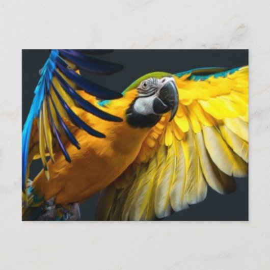 Farbenfrohe Flugbahn auf dunklem Hintergrund Postkarte (Vorderseite)