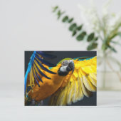 Farbenfrohe Flugbahn auf dunklem Hintergrund Postkarte (Stehend Vorderseite)