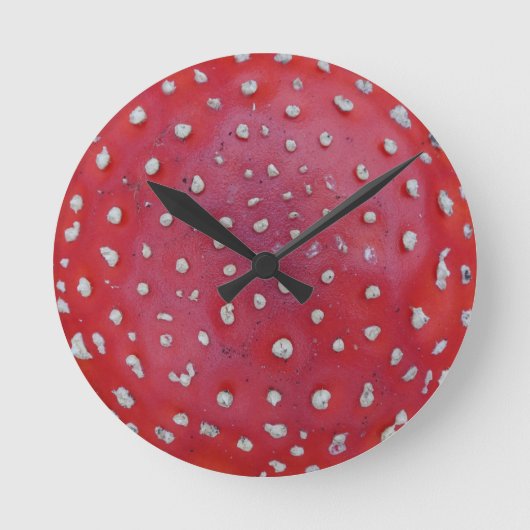 Farbenfrohe Fly Amantis Patternuhr Runde Wanduhr (Vorderseite)