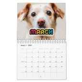 Farbenfrohe Foto Kalender 2026 (Mär 2027)