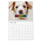 Farbenfrohe Foto Kalender 2026 (Mär 2026)