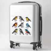 Farbenfrohe Frühling-Singvogel-Aufkleber-Set-Kolle Aufkleber (Koffer)