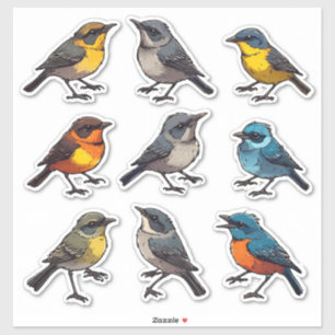 Farbenfrohe Frühling-Singvogel-Aufkleber-Set-Kolle Aufkleber