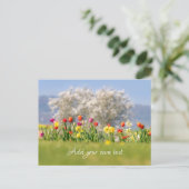 Farbenfrohe Frühlingsblumen mit Tulpen und Affodie Postkarte (Stehend Vorderseite)