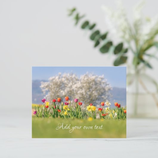 Farbenfrohe Frühlingsblumen mit Tulpen und Affodie Postkarte (Stehend Vorderseite)