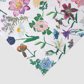 Farbenfrohe Frühlingsblumen Weiß Hintergrund Seidenpapier (Ausschnitt)