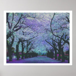 Farbenfrohe Frühlingsblüten Parklandschaft Poster