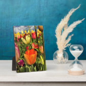 Farbenfrohe Frühlingshuppen Fotoplatte (Seite)