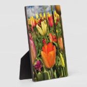Farbenfrohe Frühlingshuppen Fotoplatte (Seite)