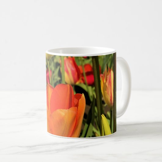 Farbenfrohe Frühlingshuppen Kaffeetasse (VorderseiteRechts)
