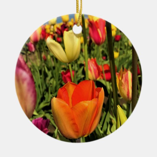 Farbenfrohe Frühlingshuppen Keramik Ornament (Vorne)