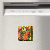 Farbenfrohe Frühlingshuppen Magnet (In Situ (Geschirrspüler))