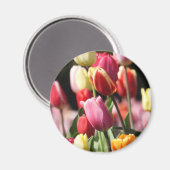 Farbenfrohe Frühlingshuppen Magnet (Vorderseite/Rückseite)