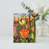Farbenfrohe Frühlingshuppen Postkarte (Stehend Vorderseite)