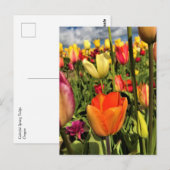 Farbenfrohe Frühlingshuppen Postkarte (Vorne/Hinten)
