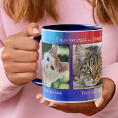 Farbenfrohe Funny Cats Custom Foto Tasse