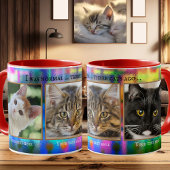 Farbenfrohe Funny Cats Custom Foto Tasse