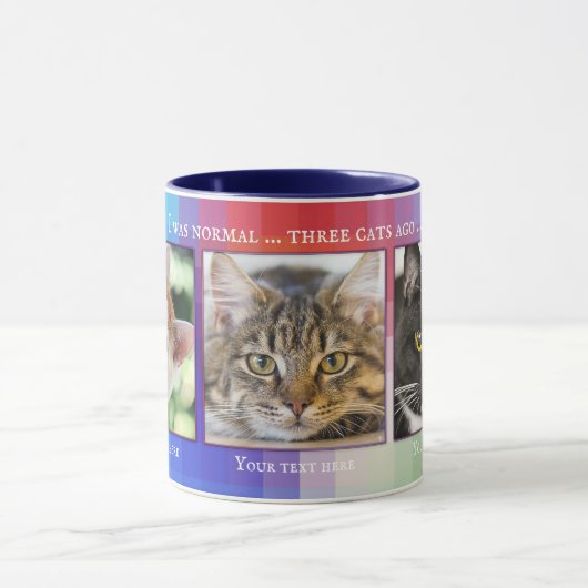Farbenfrohe Funny Cats Custom Foto Tasse (Zentrum)
