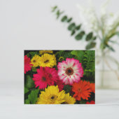 Farbenfrohe Gänseblümchen Postkarte (Stehend Vorderseite)