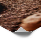 Farbenfrohe Gecko Rocks Design Poster (Ecke)