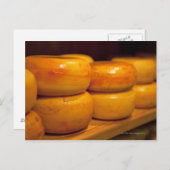 farbenfrohe gelbe Edamer Käsesorten Postkarte (Vorne/Hinten)