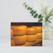 farbenfrohe gelbe Edamer Käsesorten Postkarte (Stehend Vorderseite)