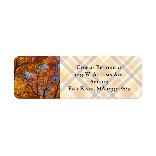 Farbenfrohe gelbe Orangen-Ahornschicht-Foliage / F (Vorne)