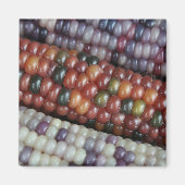 Farbenfrohe Gem Corn am Cob Magnet (Vorne)