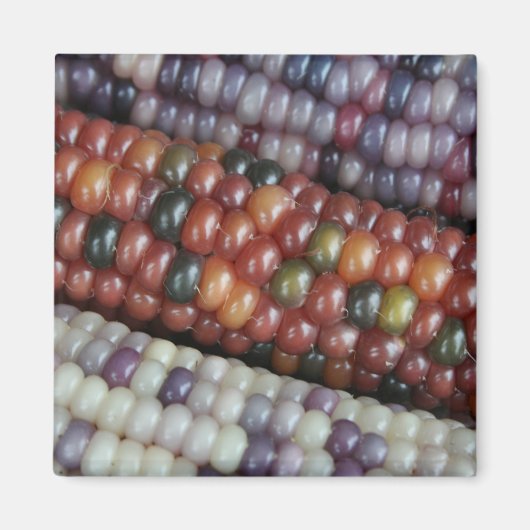Farbenfrohe Gem Corn am Cob Magnet (Vorne)