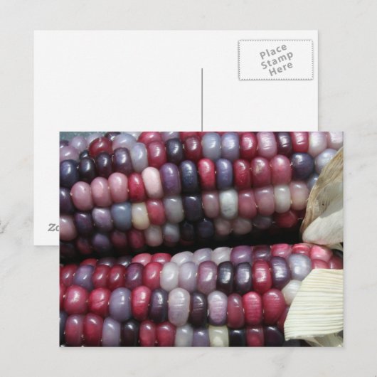 Farbenfrohe Gem Corn. Postkarte (Vorne/Hinten)
