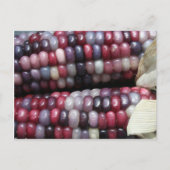 Farbenfrohe Gem Corn. Postkarte (Vorderseite)