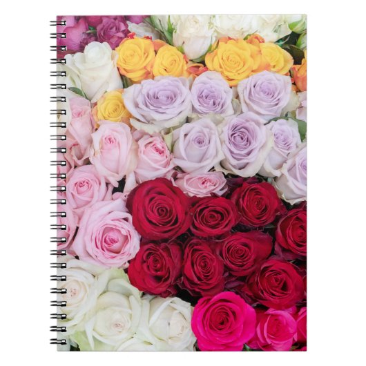 Farbenfrohe gemischte Rosen Notizblock (Vorderseite)