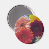 Farbenfrohe Gerbera Daisy Blume Kühlschrank Magnet (Vorderseite/Rückseite)