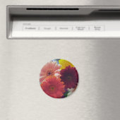 Farbenfrohe Gerbera Daisy Blume Kühlschrank Magnet (In Situ (Geschirrspüler))