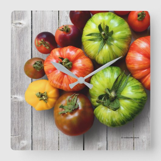 Farbenfrohe gestreifte Tomaten auf Wettertisch Quadratische Wanduhr (Vorderseite)