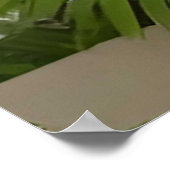 Farbenfrohe Glasfenster Naturlandschaft Poster (Ecke)