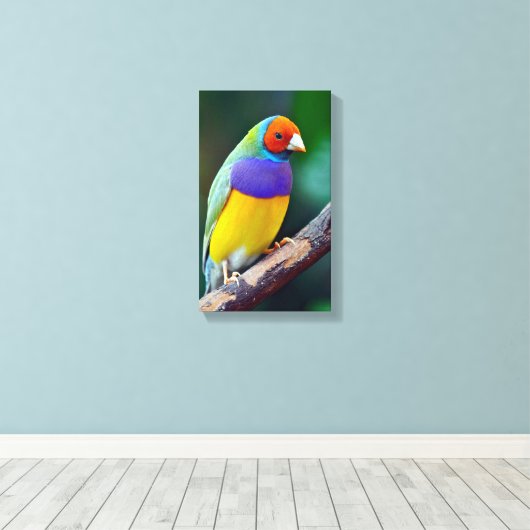 Farbenfrohe goldene Finte Leinwanddruck (Insitu (Holzboden))