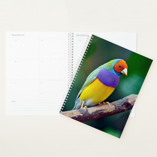 Farbenfrohe goldene Finte Planer (Anzeige)