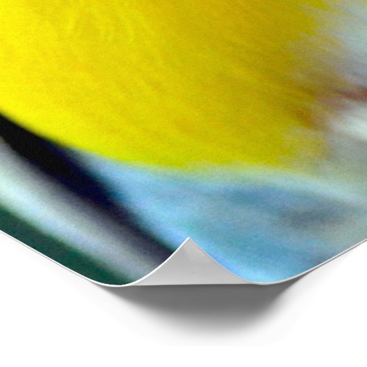 Farbenfrohe goldene Finte Poster (Ecke)