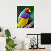 Farbenfrohe goldene Finte Poster (Heimbüro)