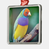 Farbenfrohe goldene Finte Silbernes Ornament (Links)