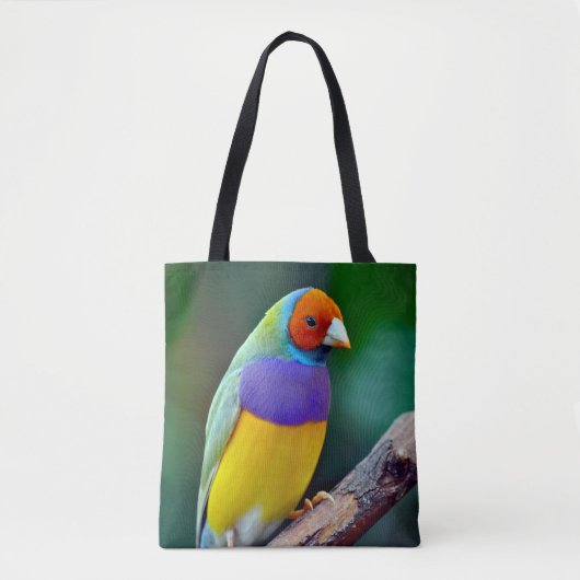 Farbenfrohe goldene Finte Tasche (Vorderseite)