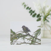 Farbenfrohe Goldfinch DIY Postkarte (Stehend Vorderseite)