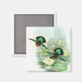 Farbenfrohe Gould Hummingbirds Square Magnet (Vorderseite/Rückseite)