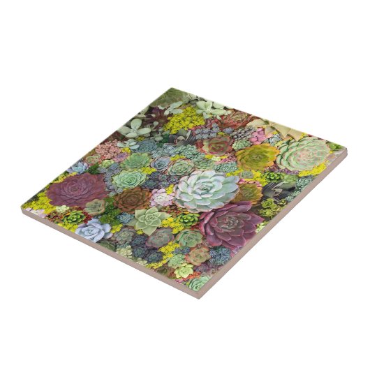 Farbenfrohe Grüne Fliese (Seite)