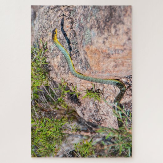 Farbenfrohe grüne Schlange Australien, 1014 Stück Puzzle (Vertikal)