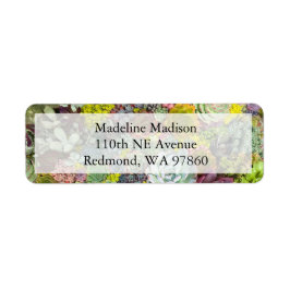 Farbenfrohe Grünpflanzen Sukkulente